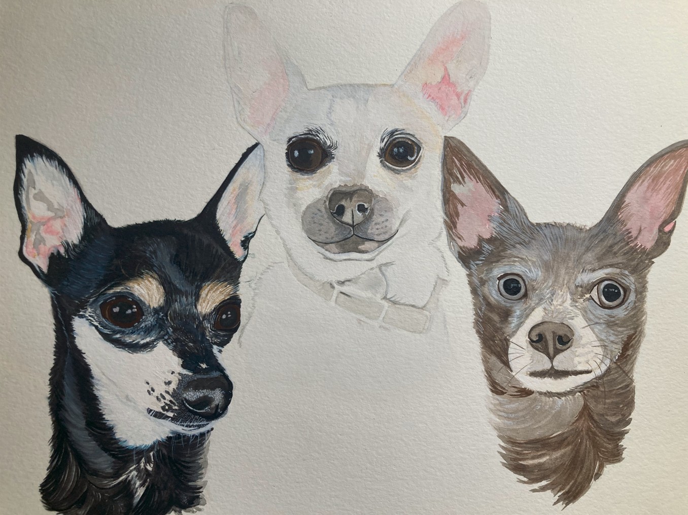 watercolor portrait of chihuahuas
